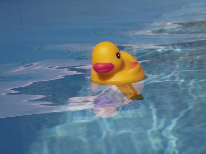 bazénový teploměr – kachnička